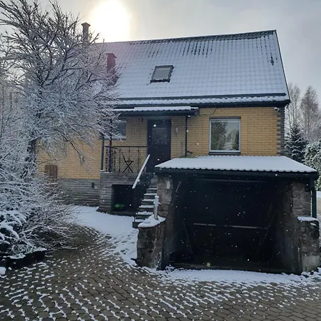 100saulesvikingi *